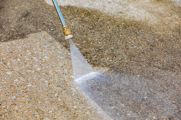 Spring Cleaning in Conesus Lake, NY