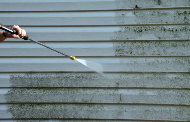 Best Gutter Cleaning  in Conesus Lake, NY