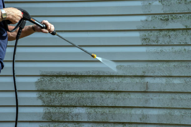 Best Solar Panel Cleaning  in Conesus Lake, NY